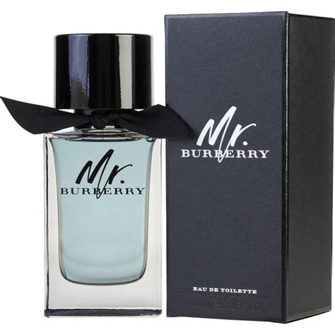 mr. burberry eau de toilette 100ml|burberry eau de toilette men.